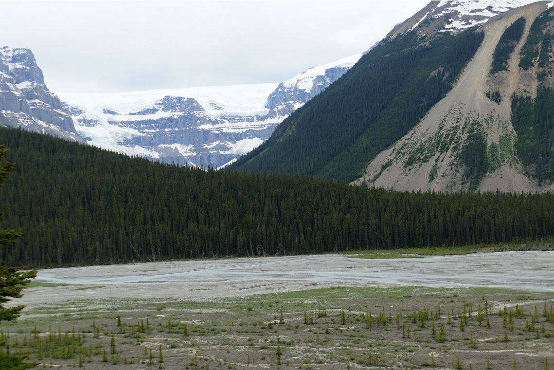 Ledovec Athabasca Glacier