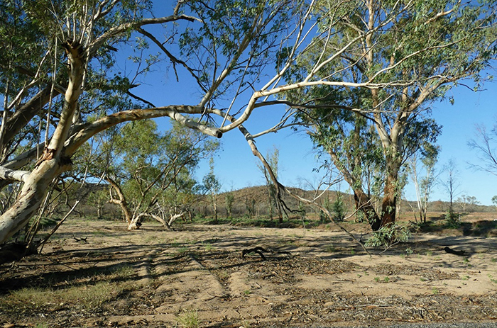 Austrálie – Rudý střed: krajina v okolí Alice Springs