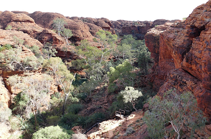 Austrálie – Rudý střed: Kings Canyon