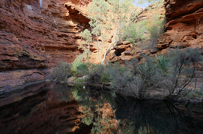 Austrálie – Rudý střed: Kings Canyon