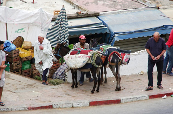 Moulay Idriss, Maroko