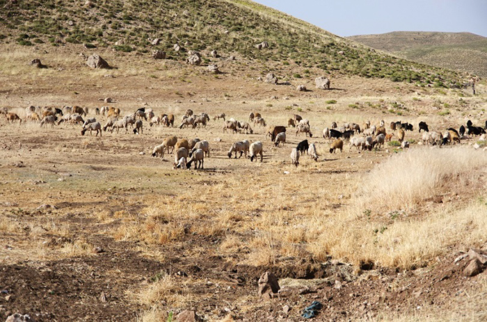 Maroko: kočující pastevci