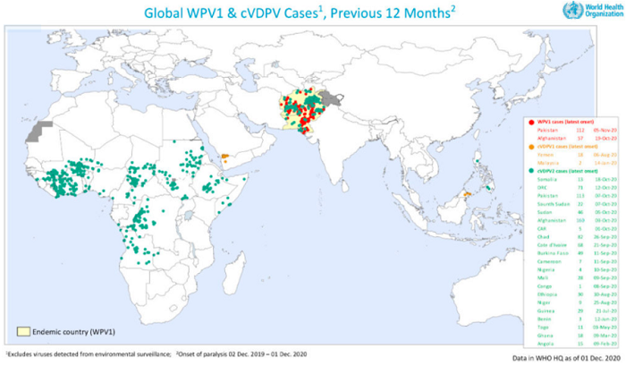 Výskyt poliovirů ve světě