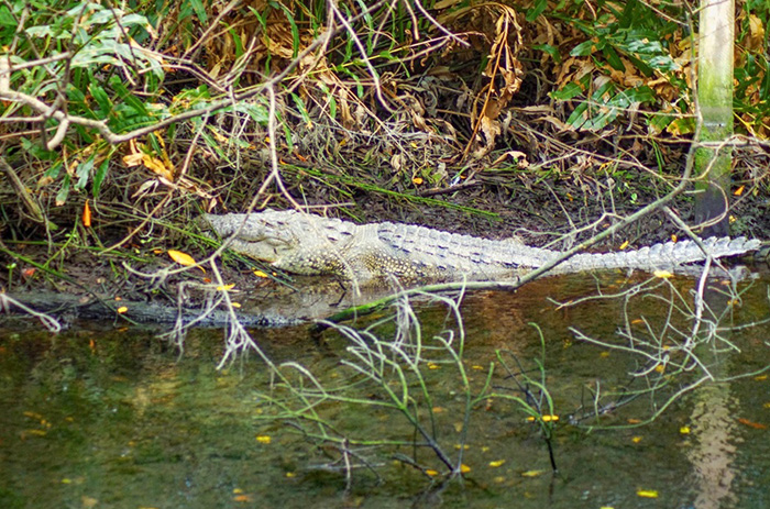 Biosférická rezervace Ría Celestún