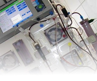 Jednotka intenzivní péče Kliniky infekčních, parazitárních a tropických nemocí Nemocnice Na Bulovce v Praze