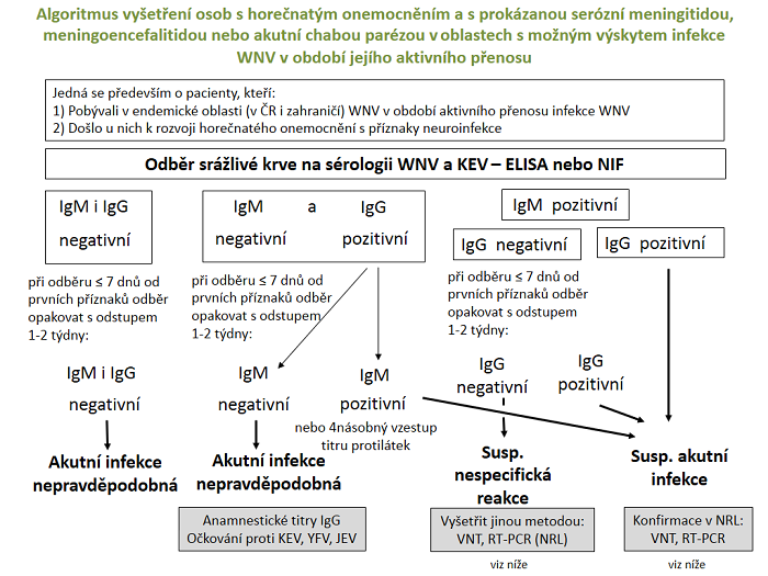 Algoritmus diagnostiky WNF