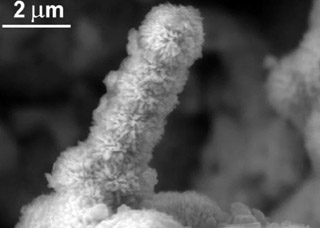 Bakterie na kovovém povrchu