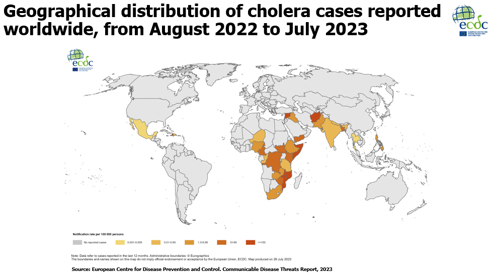 Geographical distribution of cholera cases